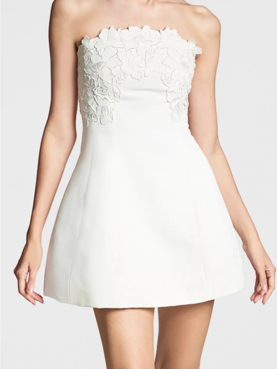 Sachin + Babi Dresses & Skirts - Sachin + Babi Alanna Ivory Strapless Floral-Appliqué Mini Dress